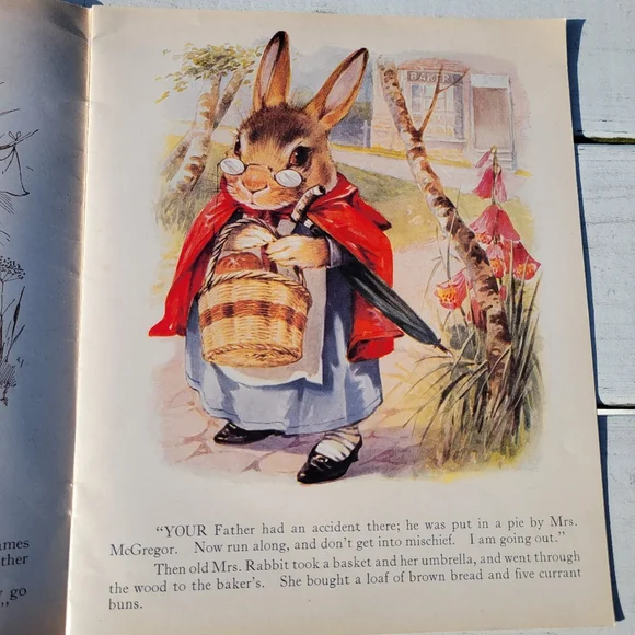 The Tale of Peter Rabbit Book ~ Reproduction of Vintage Book ~ Colorful & Cute! - Picture 3 of 16